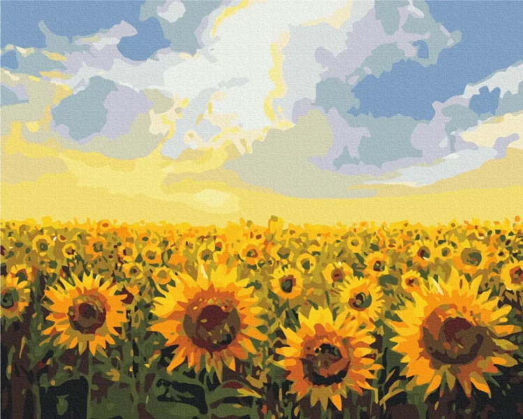 Картина за номерами Поле соняшників  Brushme 48x60