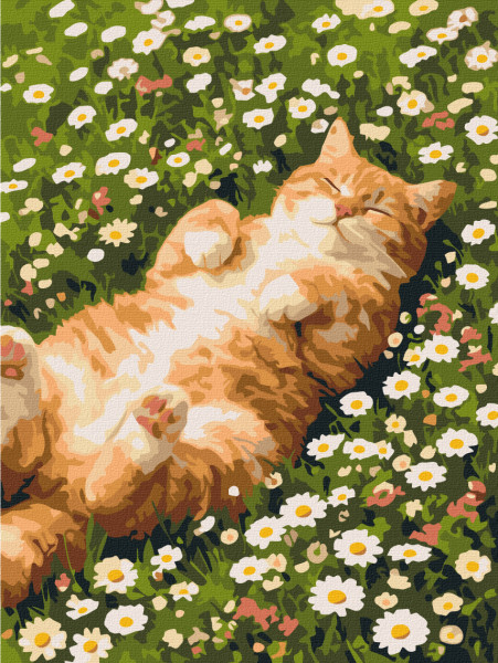 Картина по номерам Котик в ромашках 40x50 Brushme