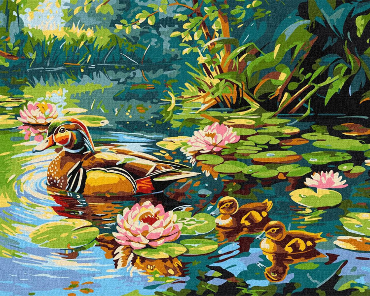 Картина за номерами Пейзаж Сім'я качок 40x50 см Ideyka