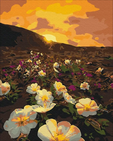 Картина за номерами Квіти сонця  Brushme 40x50