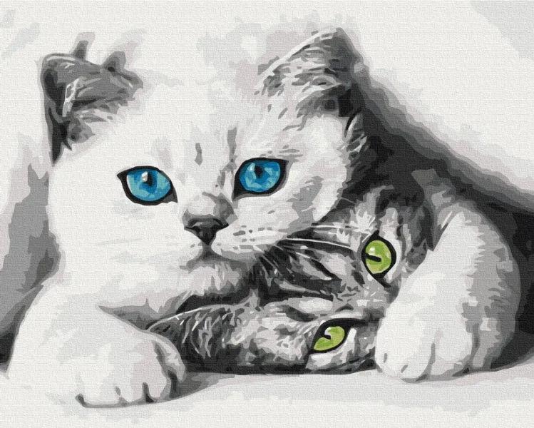 Картина за номерами Муркотики  Brushme 48x60