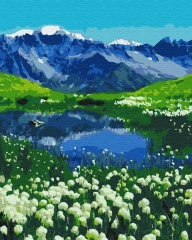 Преміум картина за номерами Альпійські луги Brushme 40x50