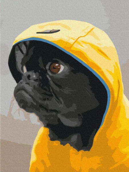 Картина за номерами Мопс у капюшоні  Brushme 30x40