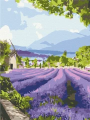 Преміум картина за номерами Два світи Провансу 2 Brushme 40x50