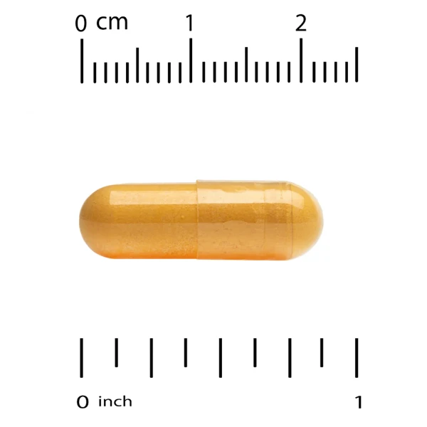 Комплекс вітамінів групи B (Vitamin B Complex) 60 капсул