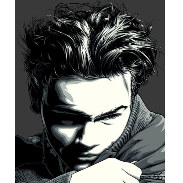 Картина за номерами River Phoenix 40х50 Strateg