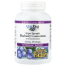 Чорниця Natural Factors (BlueRich) 500 мг 90 капсул