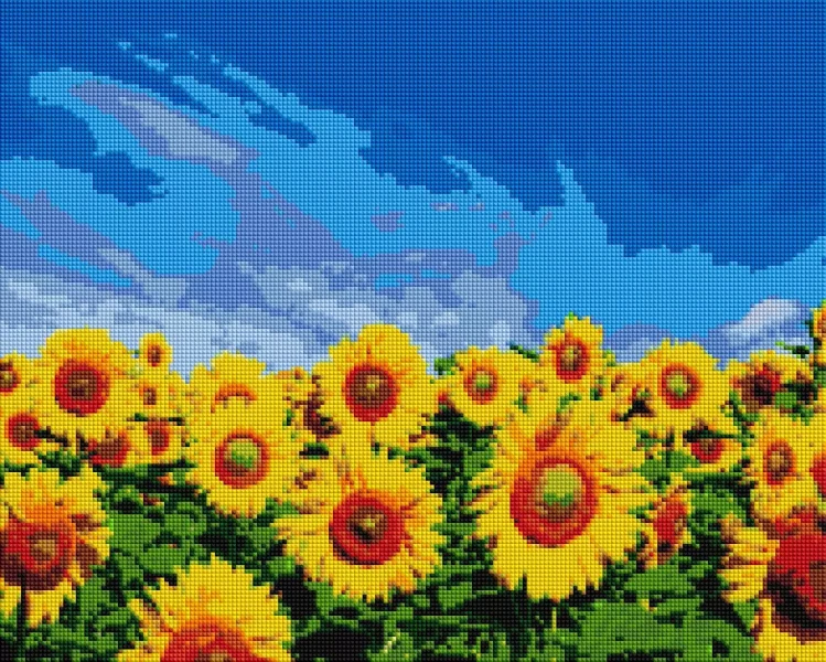 Алмазная мозаика Поле подсолнечников 40x50 Brushme