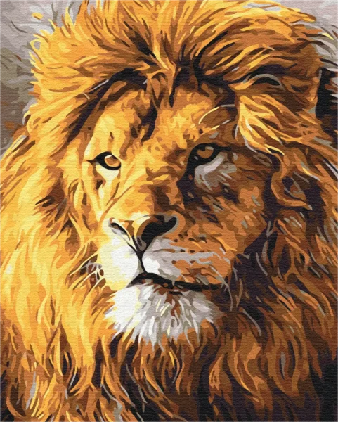 Картина за номерами Погляд на прайд  Brushme 40x50