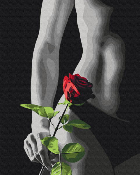Картина за номерами Елегантний акцент 48x60 Brushme