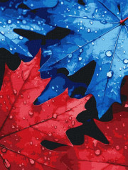Картина за номерами Осіння роса 30x40 см Ideyka