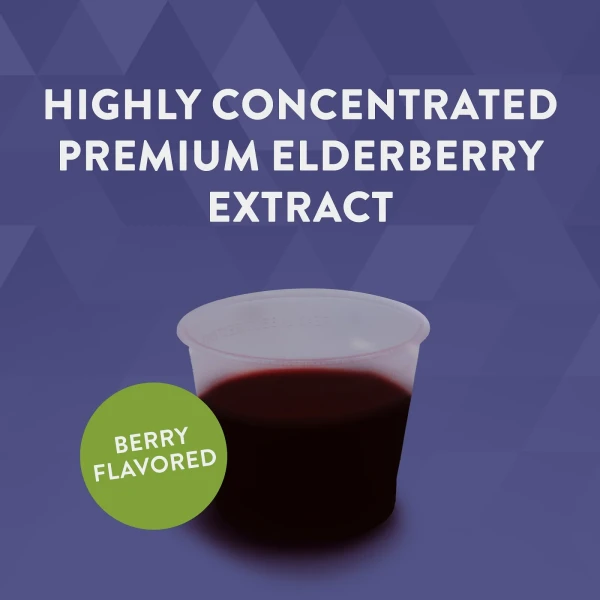 Сироп бузини для підтримки імунітету Nature's Way (Sambucus Elderberry Immune Syrup) 120 мл