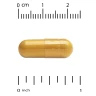 Куркумін С3 комплекс із біоперином (Curcumin C3 Complex with BioPerine) 500 мг 120 капсул