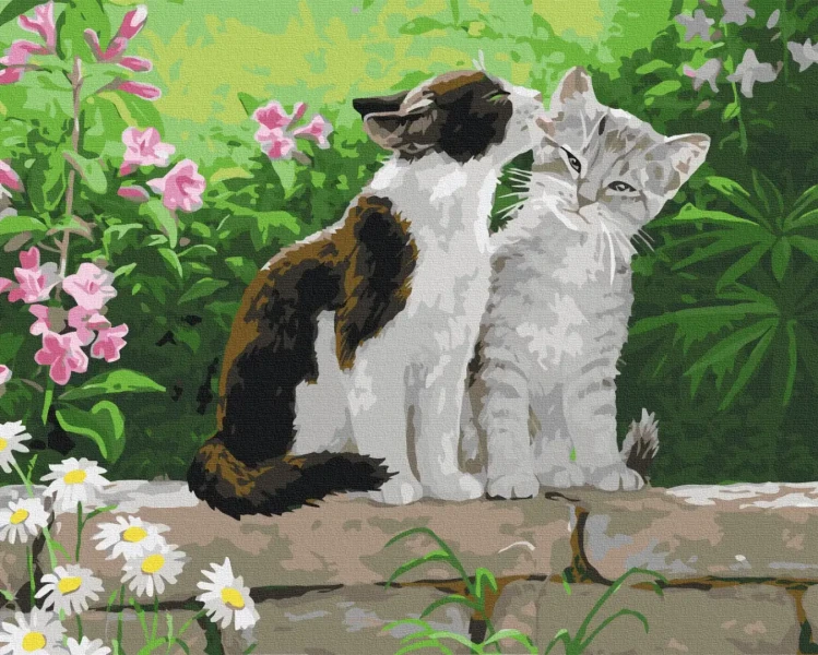 Преміум картина за номерами Пара кошенят Brushme 40x50