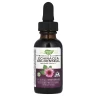 Ехінацея та гідрастис на 99.9% без спирту Nature's Way (Echinacea Goldenseal) 250 мг 30 мл