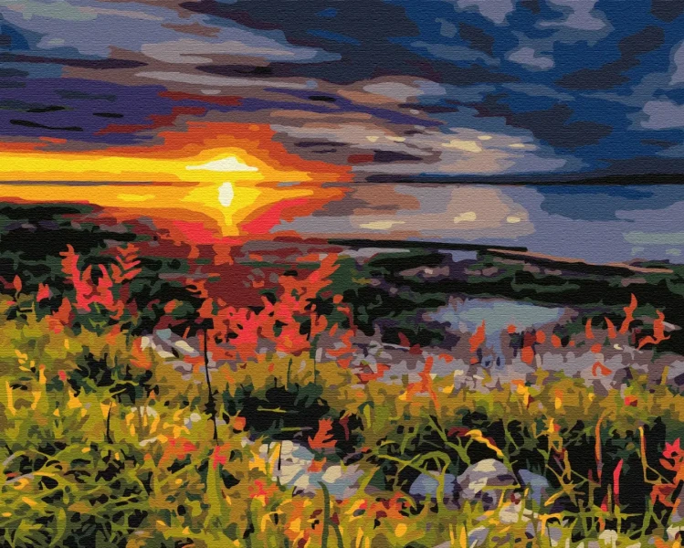 Картина за номерами Недоторкана природа  Brushme 40x50