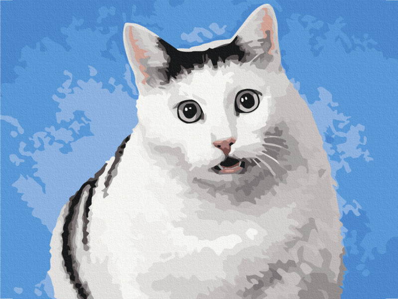 Картина по номерам Кот "А?" 40x50 Brushme