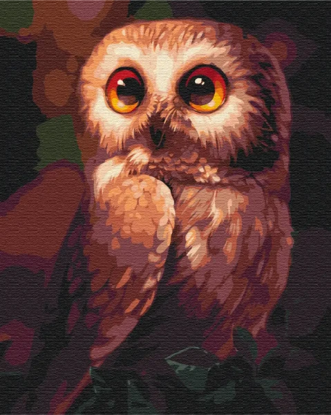 Картина за номерами Допитлива сова  Brushme 40x50
