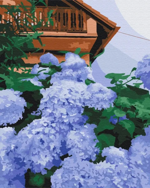 Картина за номерами Гортензія біля дому  Brushme 48x60