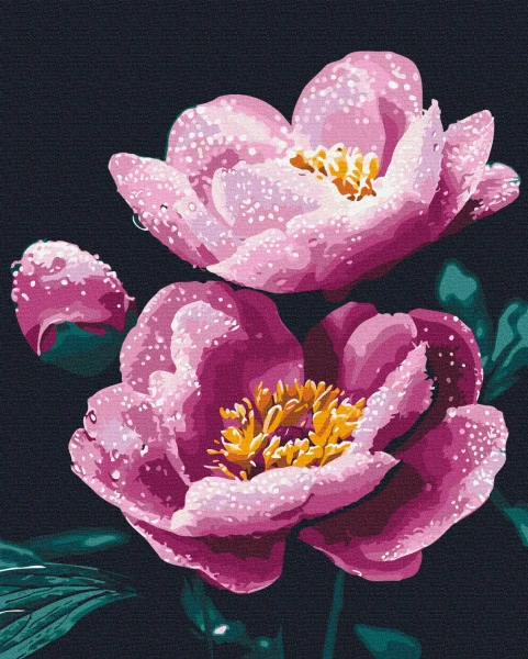 Картина за номерами Ранкова свіжість  Brushme 40x50