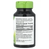 Вітамін B1 Nature's Way (Vitamin B1) 100 мг 100 капсул