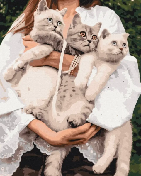 Картина за номерами Улюблені муркотики  Brushme 40x50