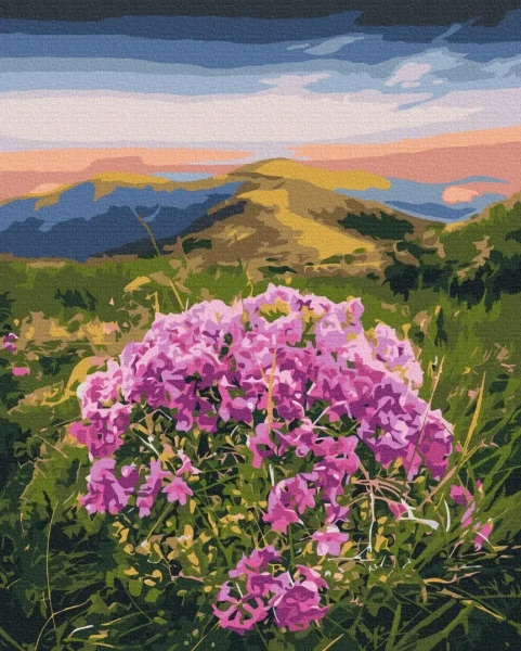 Картина за номерами Цвітіння Карпат © Roksolana Baran  Brushme 40x50