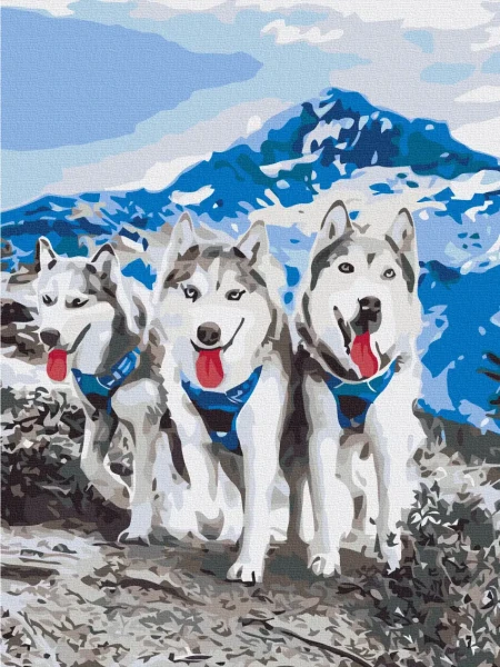 Картина за номерами Друзі-хаскі  Brushme 30x40