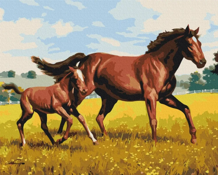 Картина за номерами Сімейний галоп  Brushme 48x60