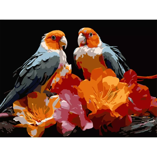 Картина по номерам Птичья пара 30x40