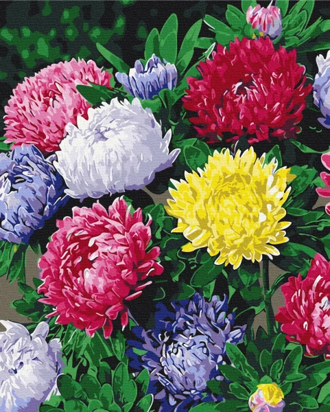 Картина за номерами Різнокольорові айстри 40x50 Brushme
