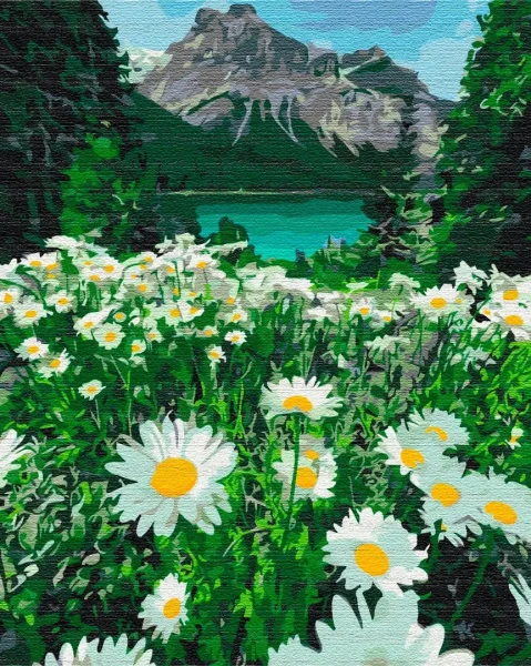 Преміум картина за номерами Ромашки біля гір Brushme 40x50
