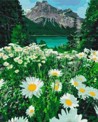 Преміум картина за номерами Ромашки біля гір Brushme 40x50