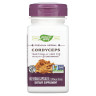 Кордицепс Nature's Way (Cordyceps) 1000 мг 60 капсул