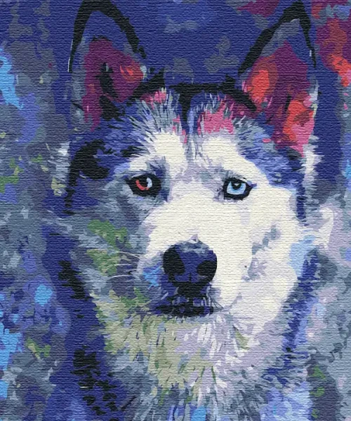 Картина за номерами Погляд Хаскі  Brushme 48x60
