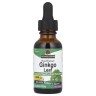 Екстракт листя гінкго білоба 2000 мг Nature's Answer (Ginkgo Leaf Fluid Extract) 30 мл