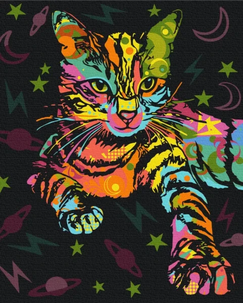 Картина за номерами Космічний кіт  Brushme 48x60