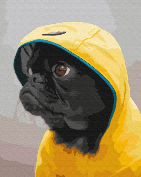 Картина по номерам Мопс в тощем Brushme 40x50