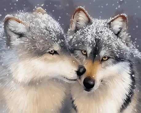 Картина за номерами Ніжне почуття 40x50 Brushme