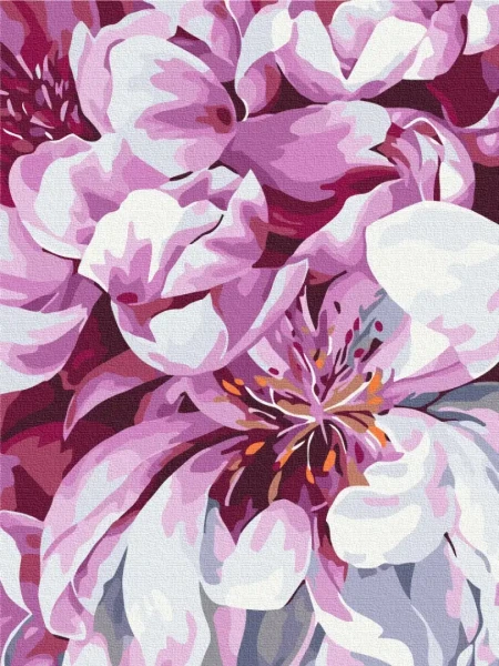 Картина за номерами Цвіт у макро зйомці  Brushme 30x40