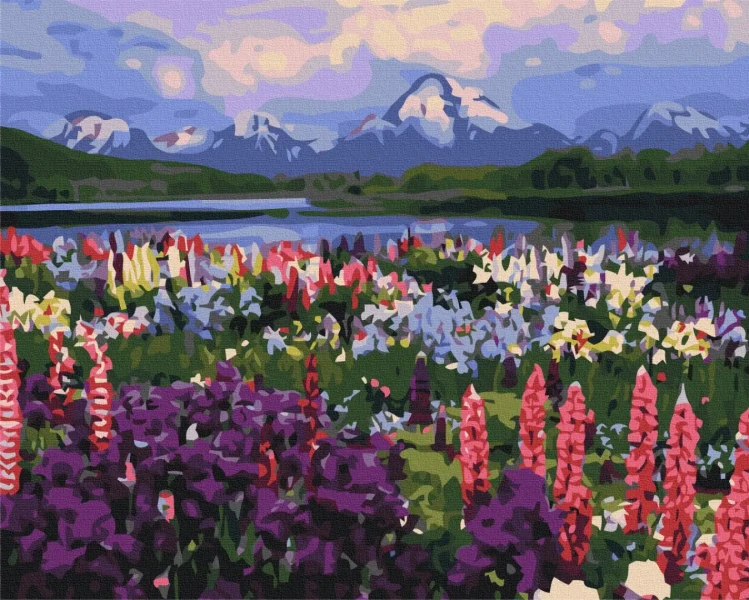 Картина за номерами Долина польових квітів  Brushme 48x60