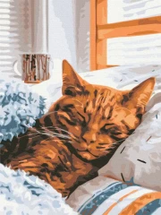 Преміум картина за номерами Ранковий котик Brushme 40x50