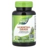Хвощ Nature's Way (Horsetail Grass) 440 мг 100 капсул