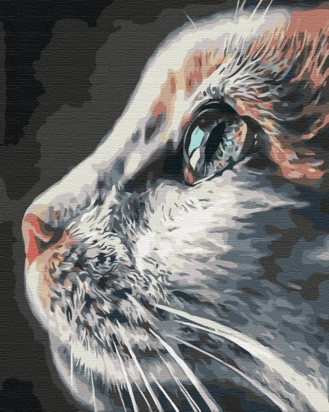 Картина за номерами Котопрофіль 40x50 Brushme