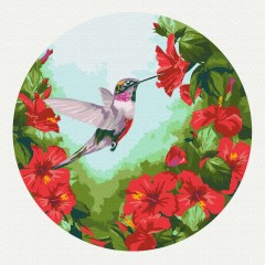 Картина за номерами кругла Колібрі (Розмір L) 40 х 40 Brushme