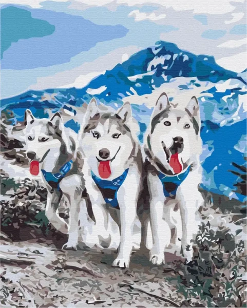 Картина за номерами Друзяки хаскі  Brushme 40x50