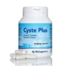 Цистe Плюс Metagenics (Cyste Plus N-ацетил-L-цистеин) 500 мг 90 капсул
