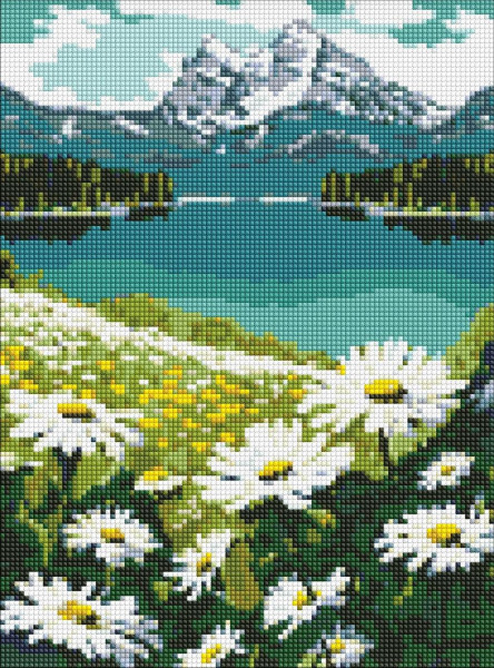 Алмазна мозаїка/вишивка Квітучі ромашки 30x40 Ideyka
