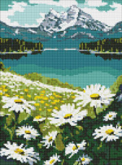 Алмазна мозаїка/вишивка Квітучі ромашки 30x40 Ideyka