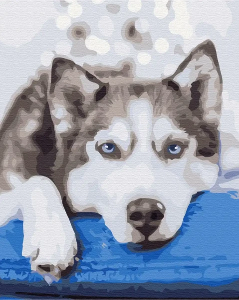 Картина по номерам Хаски в ожидании Brushme 48x60